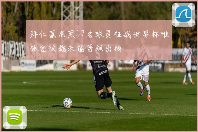 拜仁慕尼黑17名球员征战世界杯唯独金玟哉未能晋级出线